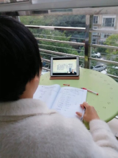 ueditor