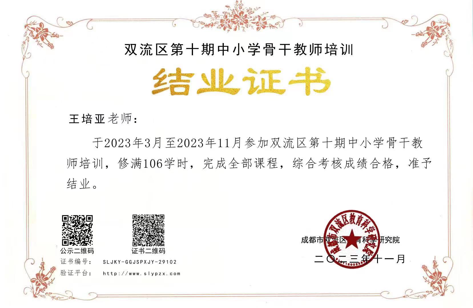 王培亚-参加培训-2023年3月至2023年11月参加双流区第十期中小学骨干教师培训.jpg
